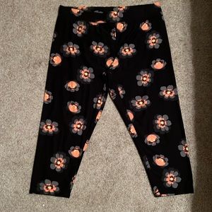 Maurices Floral Capri Legging Size XL Black